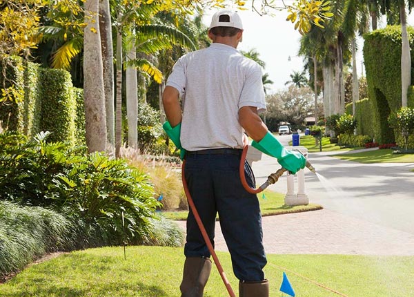About Buffalo SD Pest Control